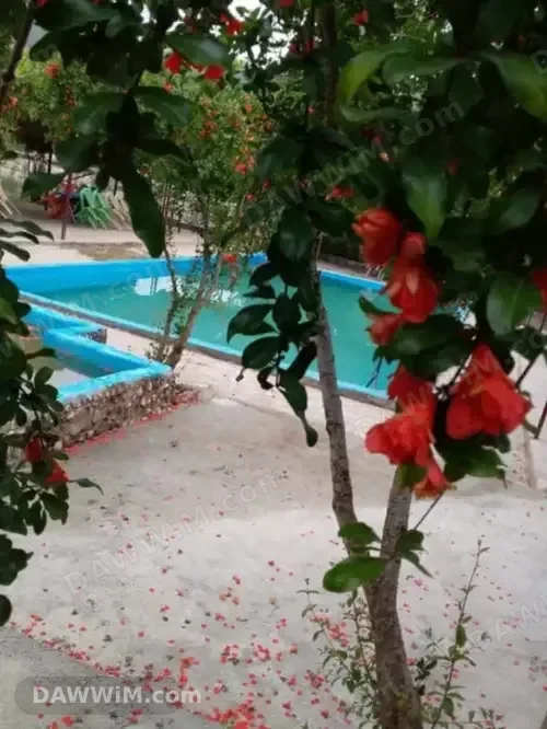 منتزه شعبي للبيع جاهز للعمل في طرطوس