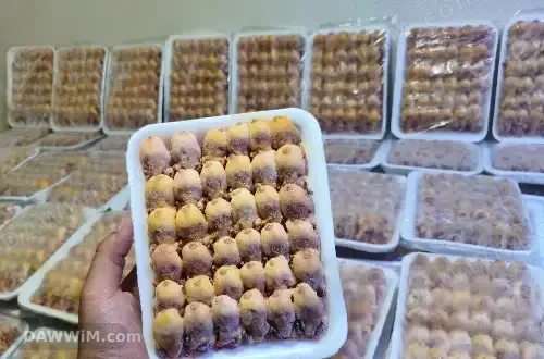عصافير تين للبيع طازجة