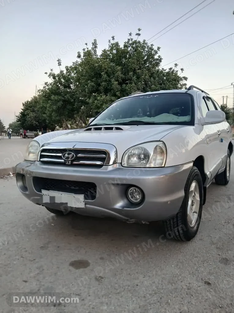 هيونداي سنتافيه الضفدع موديل 2003