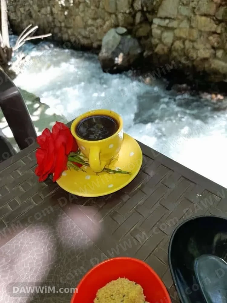 رحلة سياحية إلى بيت جن يوم الجمعة