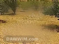 أرض زراعية للبيع في رنكوس - ريف دمشق