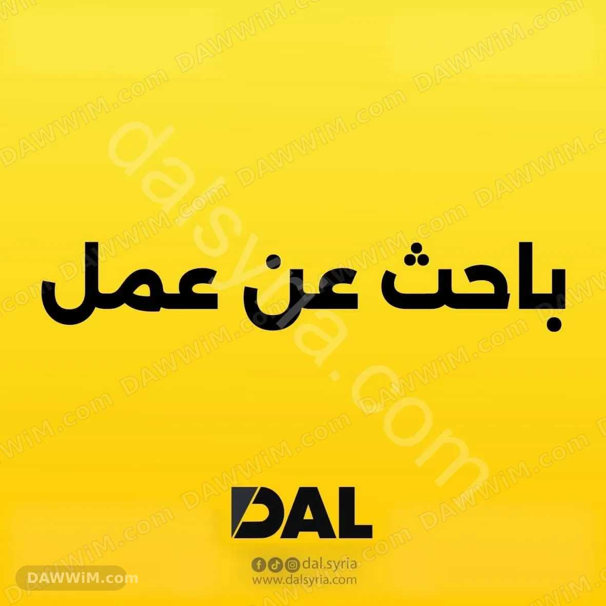 معلم فلافل يبحث عن عمل