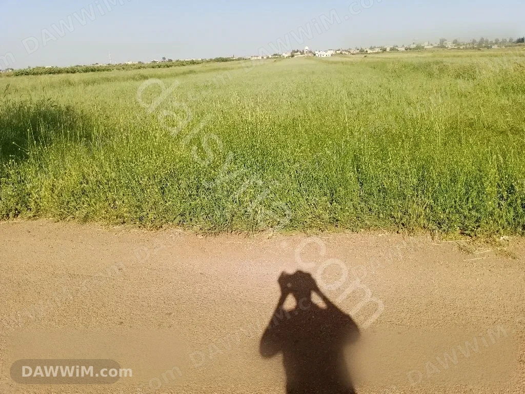 أرض للبيع في القنيطرة حي الكوم بمساحة 13 دونم