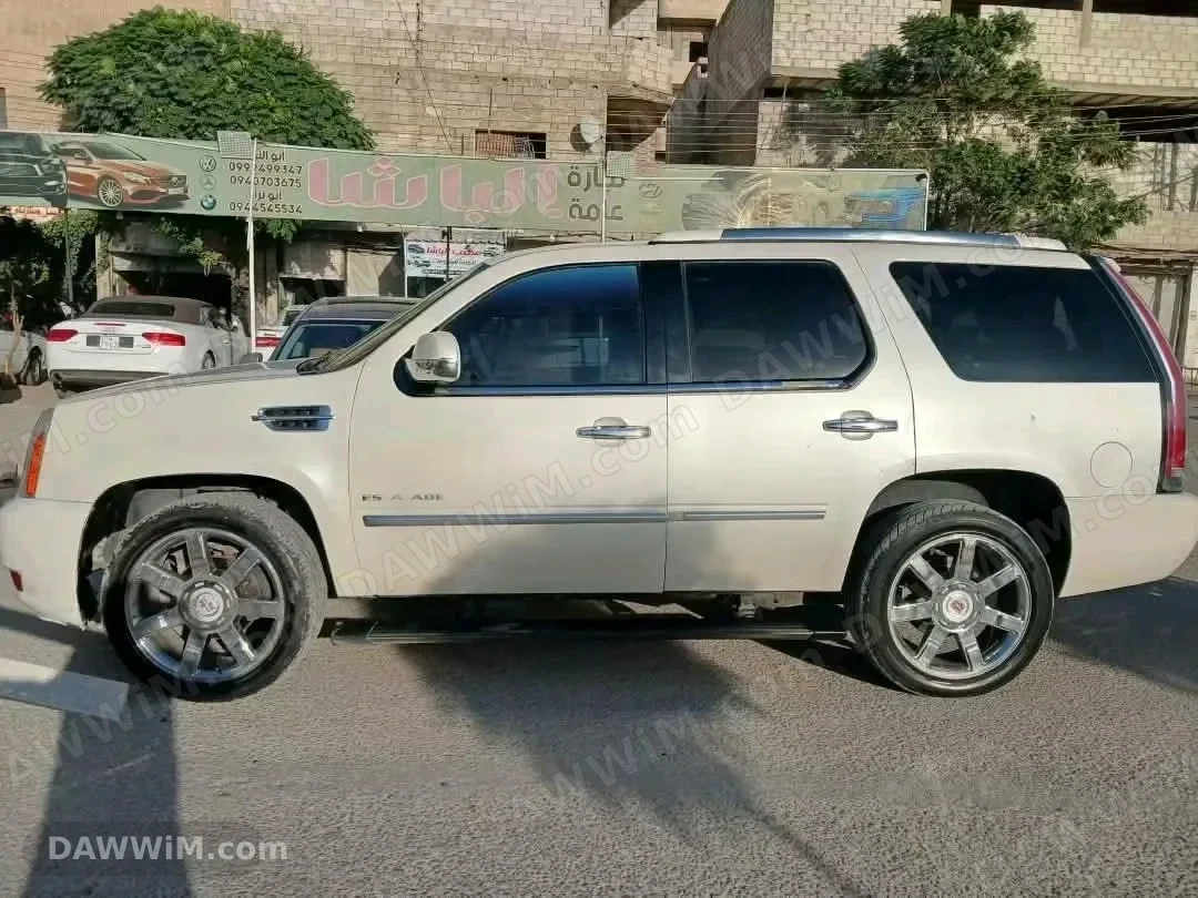 كاديلاك ايسكاليد 2011 مستعملة