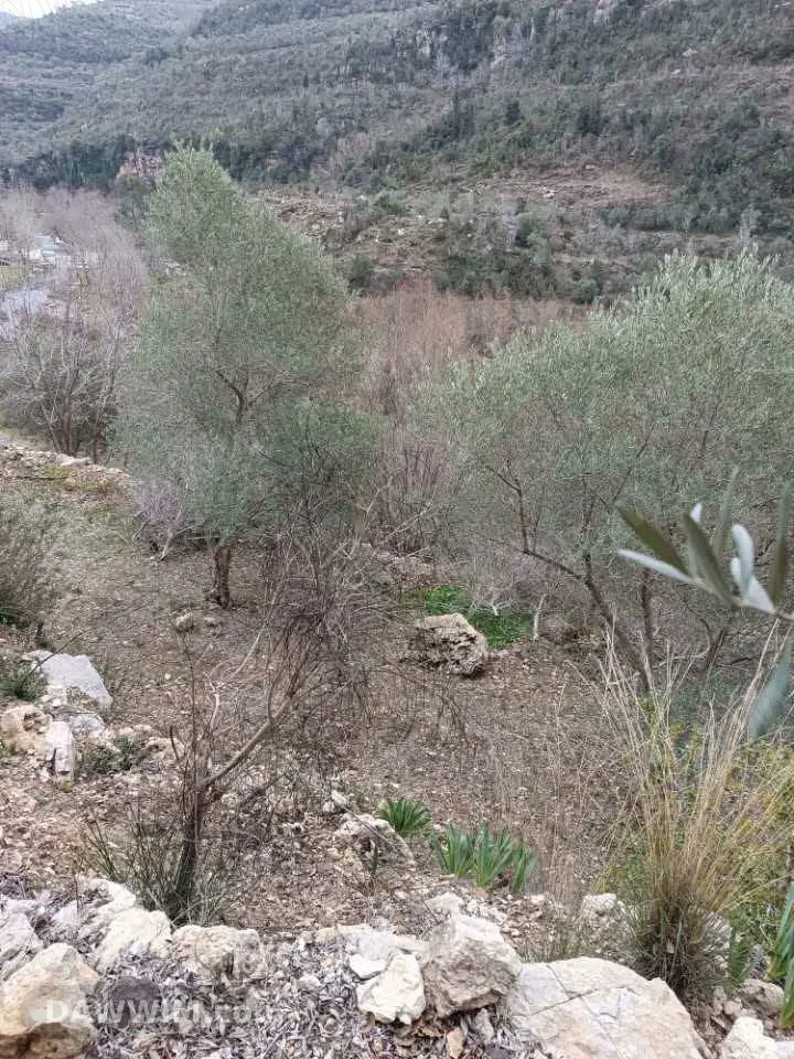 أرض سياحية للبيع بمساحة 2350 متر على سد الدريكيش