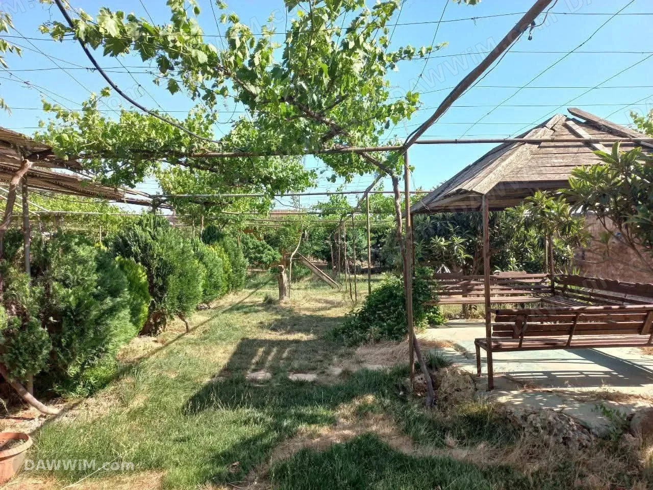 مزرعة باب الحارة في حمص الزعفرانة