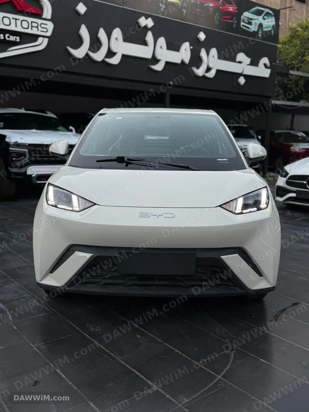 BYD Seagull 2025 - جديدة