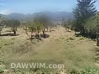 أرض زراعية للبيع في شرقي مصياف - 6 دنم طابو أخضر
