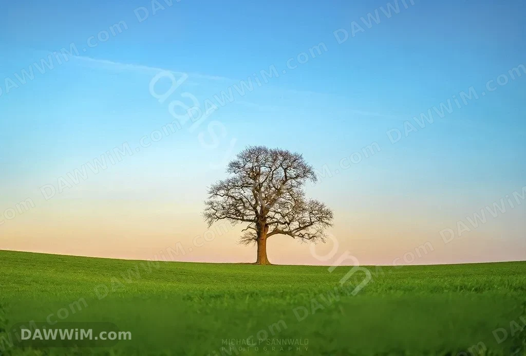 ارض للبيع في أريحا بمساحة 400 متر