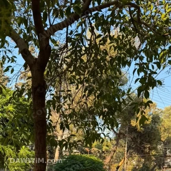 شقة للبيع في حلب - حي الأندلس