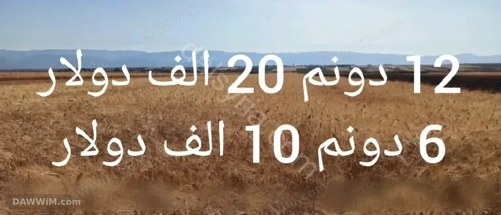 أرض للبيع بمساحة 12 دونم في ريف حماة