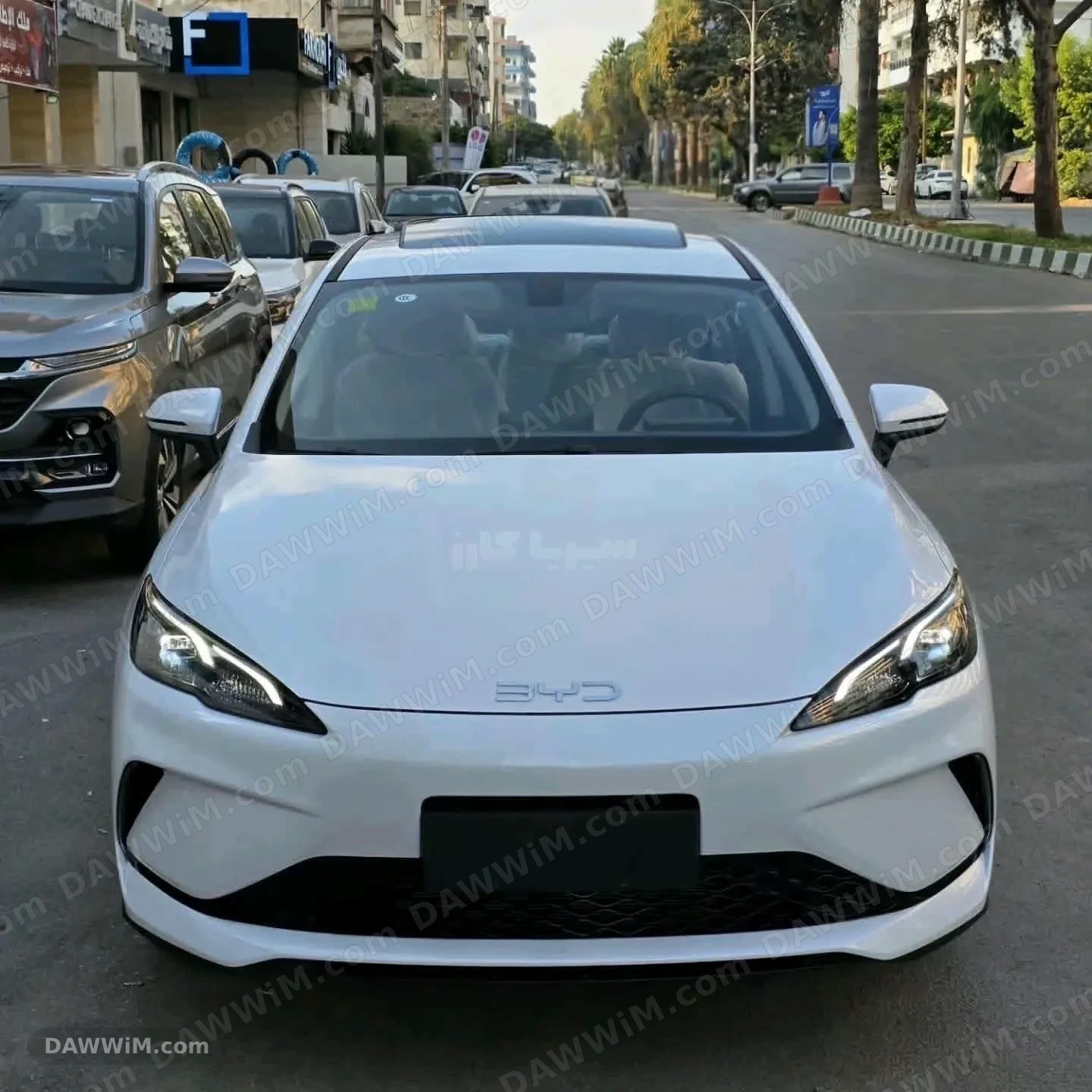 سيارة بي واي دي - BYD سي ليون - sea lion 05 موديل 2026