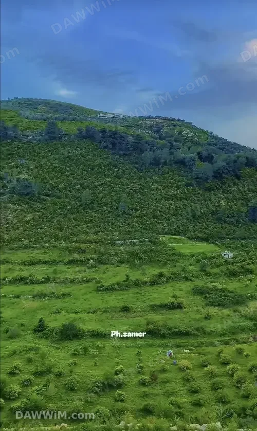 مزرعة زراعية كبيرة للبيع في طرطوس