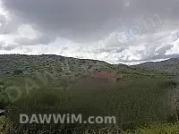 مزرعة للبيع في حماة، عين حلاقيم