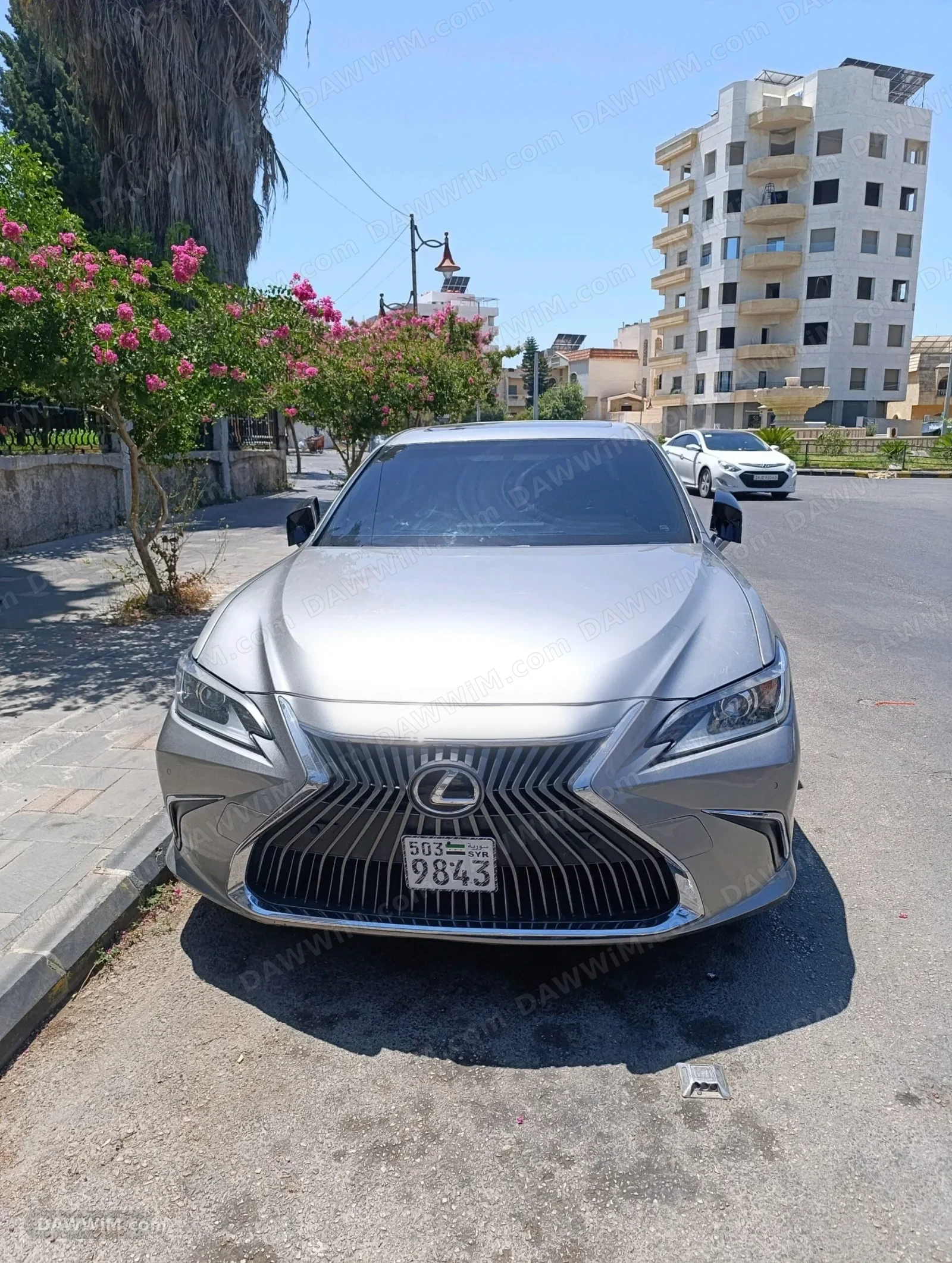 ليكسوس Lexus Series ES موديل 2019 مستعمل