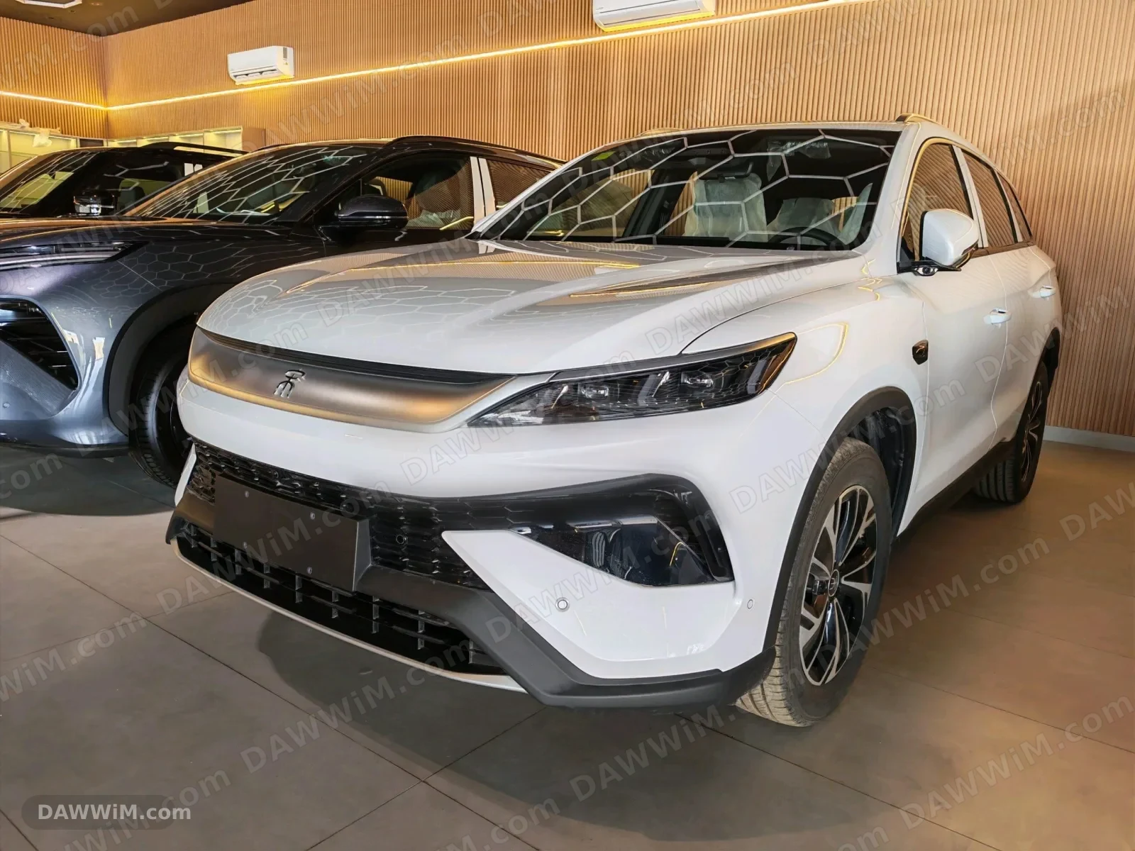 بي واي دي سونغ برو 2024 جديدة