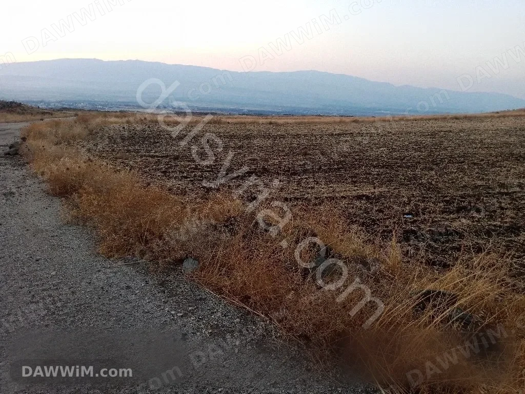 أرض للبيع في القنيطرة منطقة ايوبا