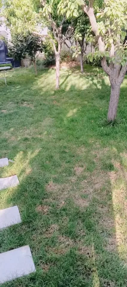 بيت للبيع في المزة 86 جاهز للسكن