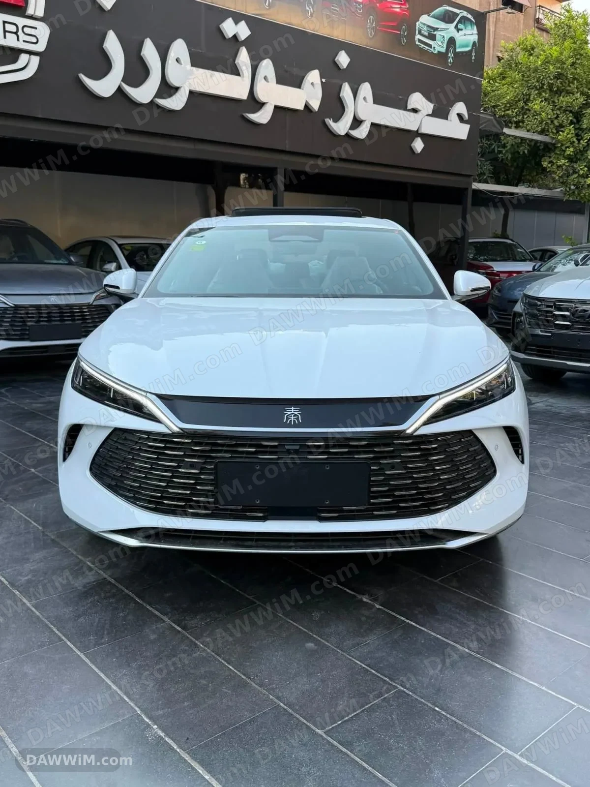 سيارة BYD Qin L موديل 2026 جديدة
