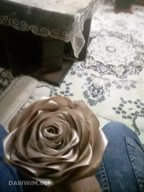 ورود من الريبان