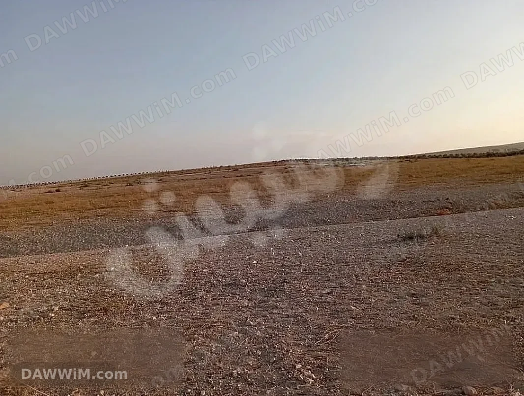 للبيع أرض زراعية في حمص تل شنان