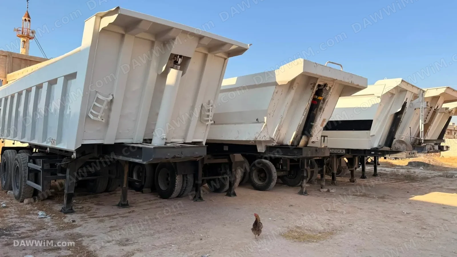 استثمار شركة ذهب الشام