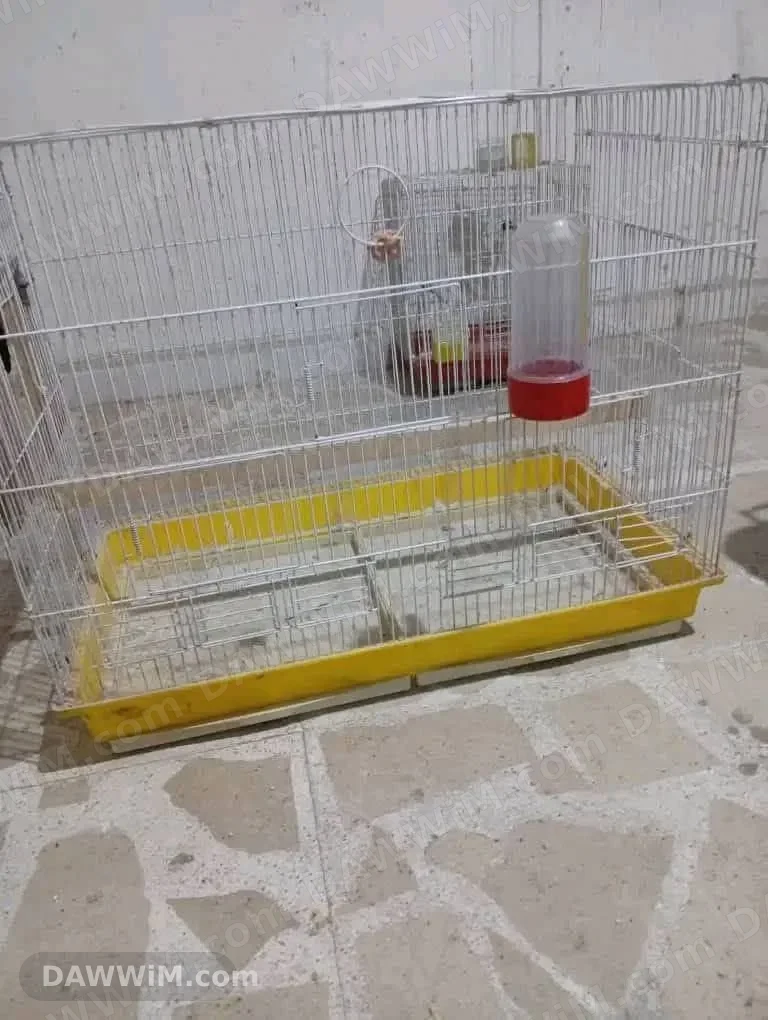 قفص طيور للبيع