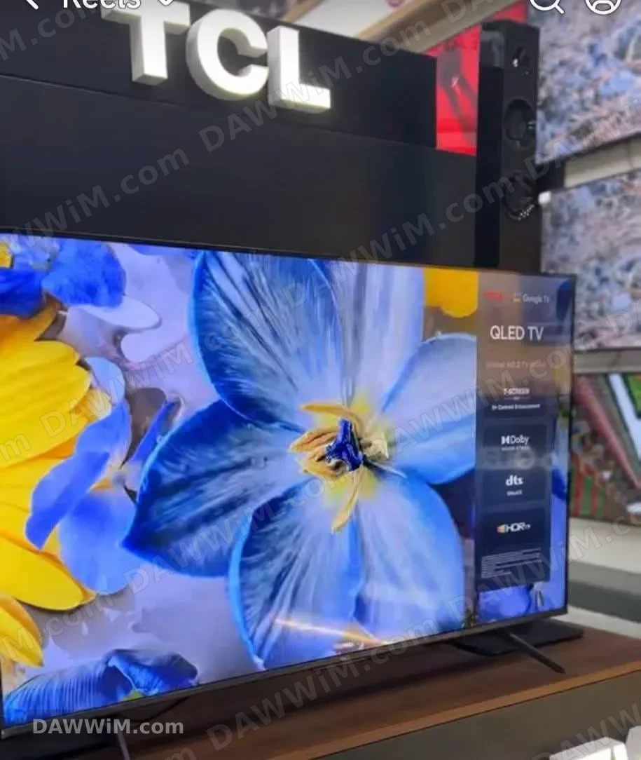 شاشة TCL قياس 55 بوصة موديل P6L