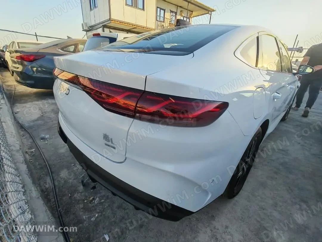 سيارة بي واي دي BYD كين L موديل 2025 جديدة