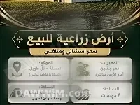 أرض زراعية للبيع في تل طويل - الحسكة