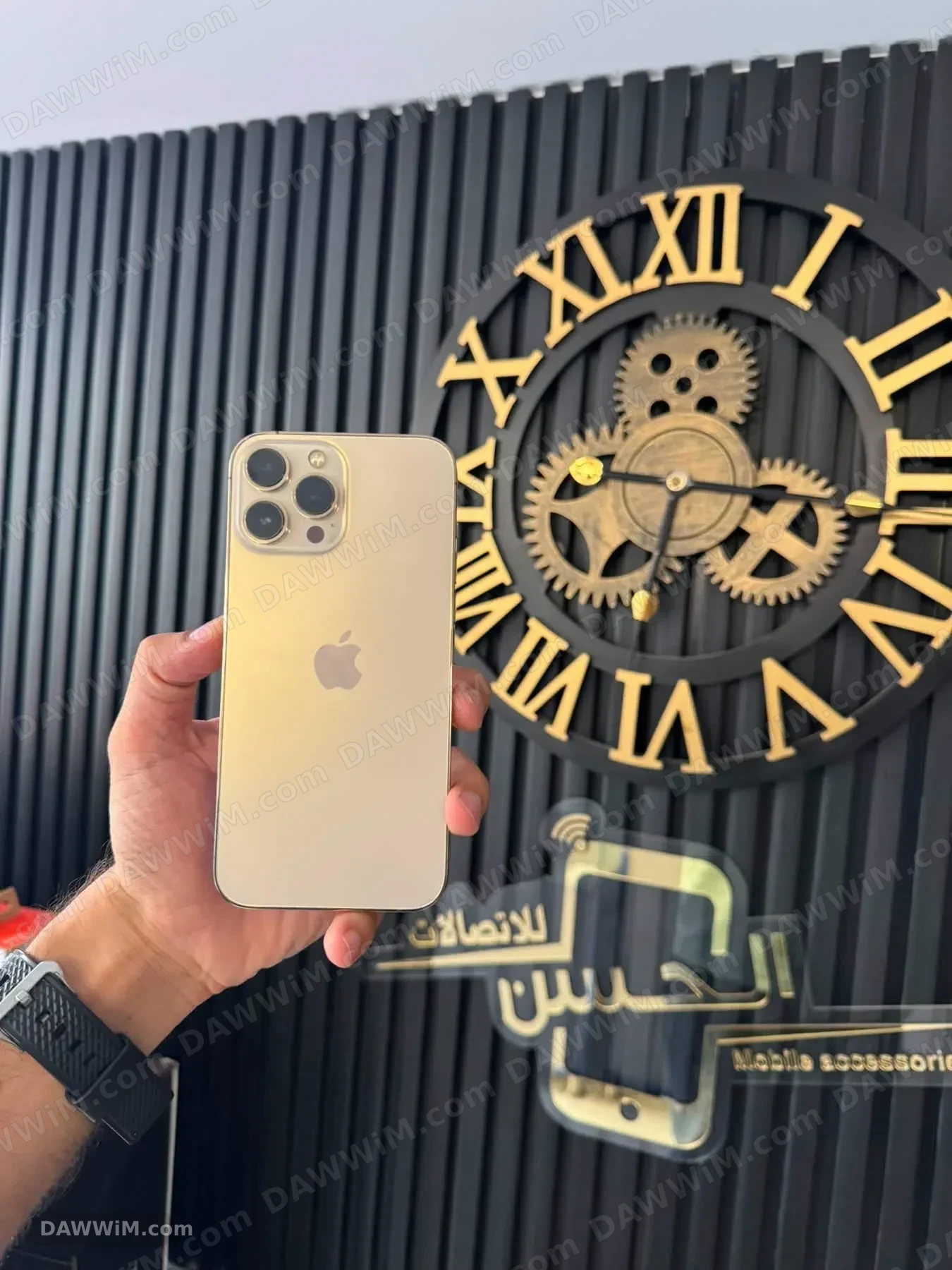 iPhone 13 Pro Max