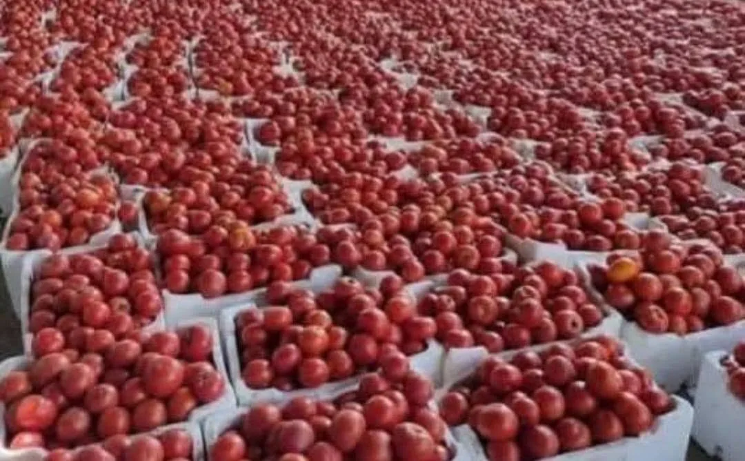 دبس بندورة طبيعي للبيع في ريف حلب
