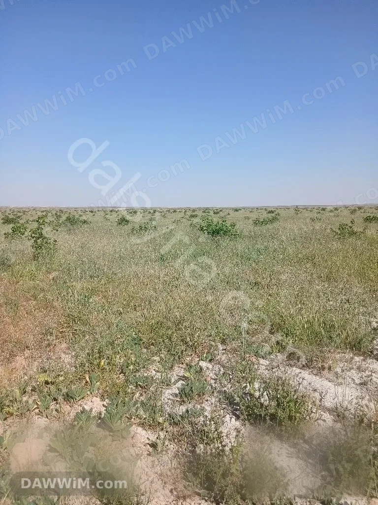 أرض للبيع مزروعة فستق حلبي في حماة