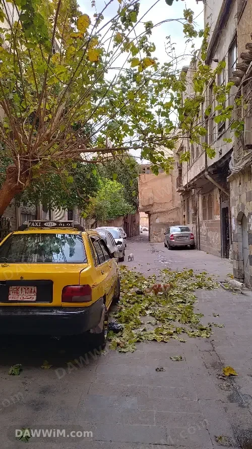 منزل عربي للبيع في منطقة القنوات دمشق