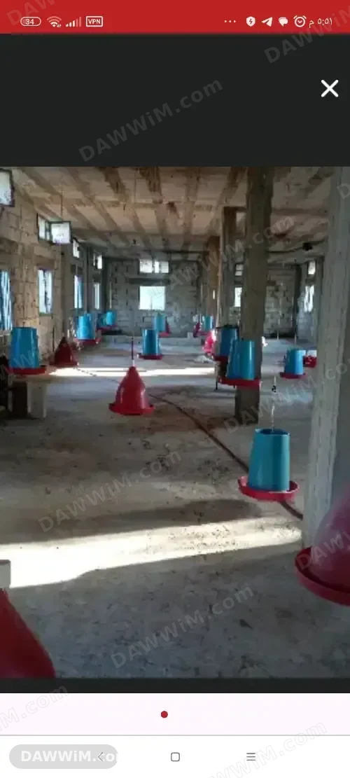 مدجنة فروخ جاهزة للبيع والشغل