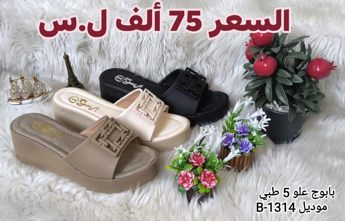 أحذية نسائية عصرية متوفرة بعدة أرقام في الحسكة