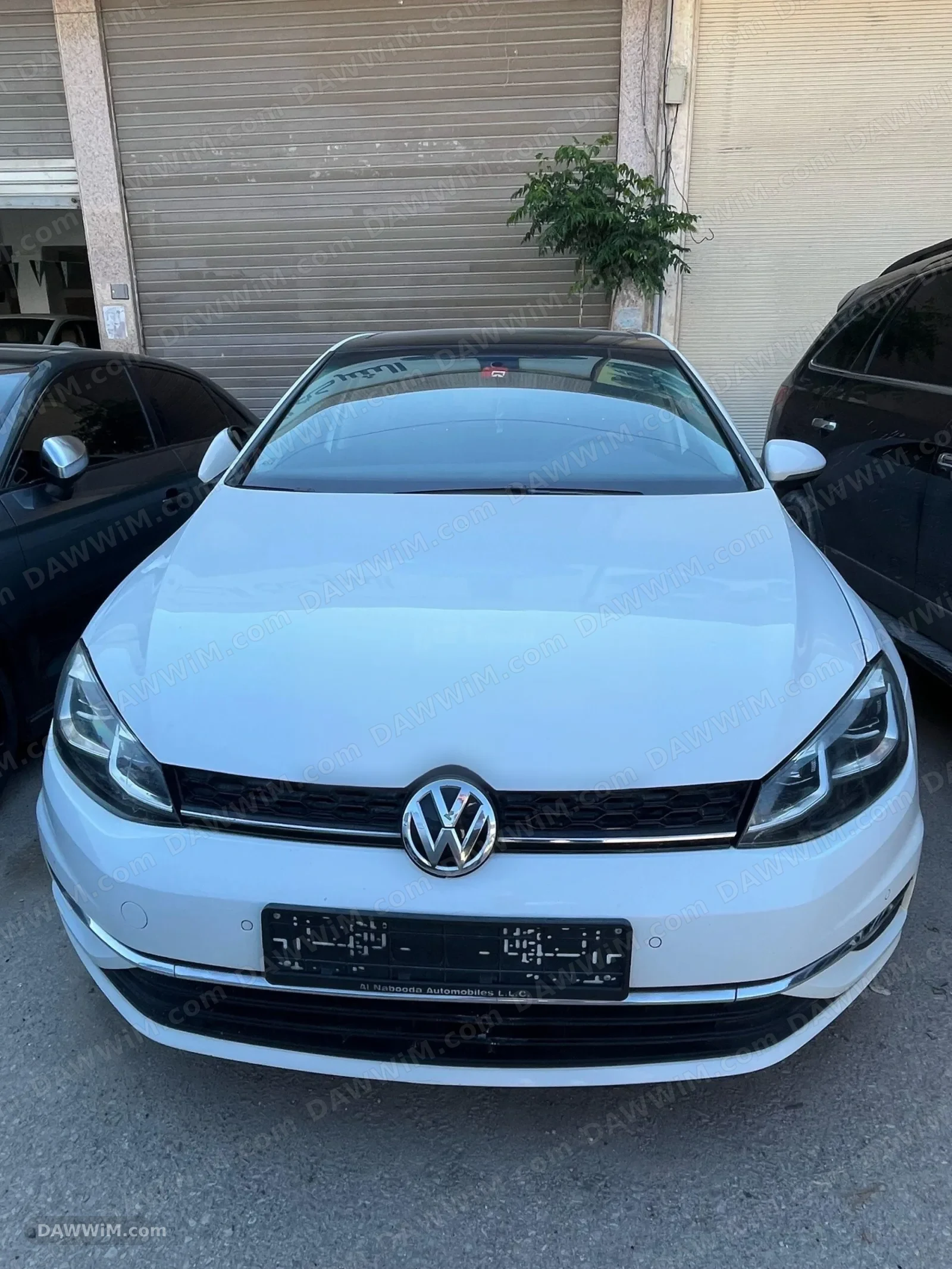 فولكس فاكن جولف موديل 2019 مستعملة للبيع