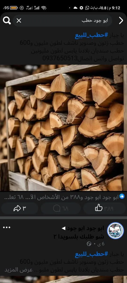 حطب سنديان يابس للبيع
