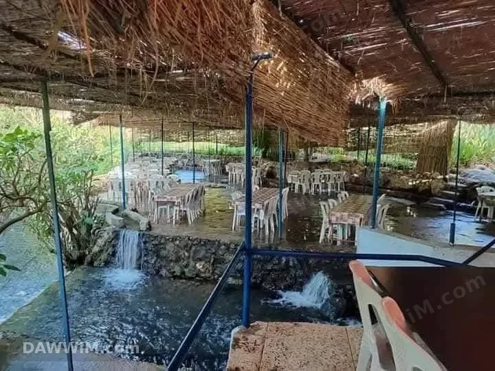 رحلات سياحية إلى نبع خليفة