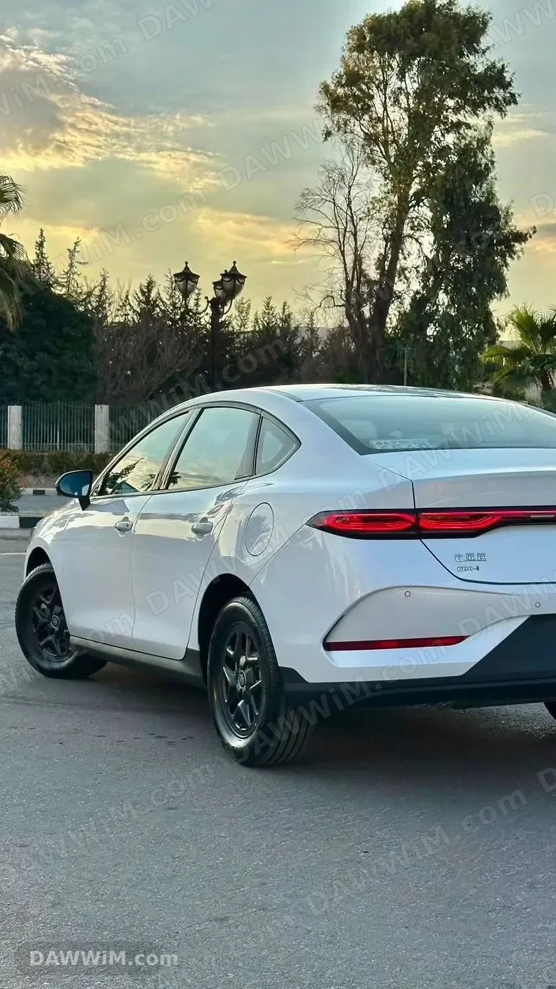 سيارة BYD QIN PLUS موديل 2025 جديدة