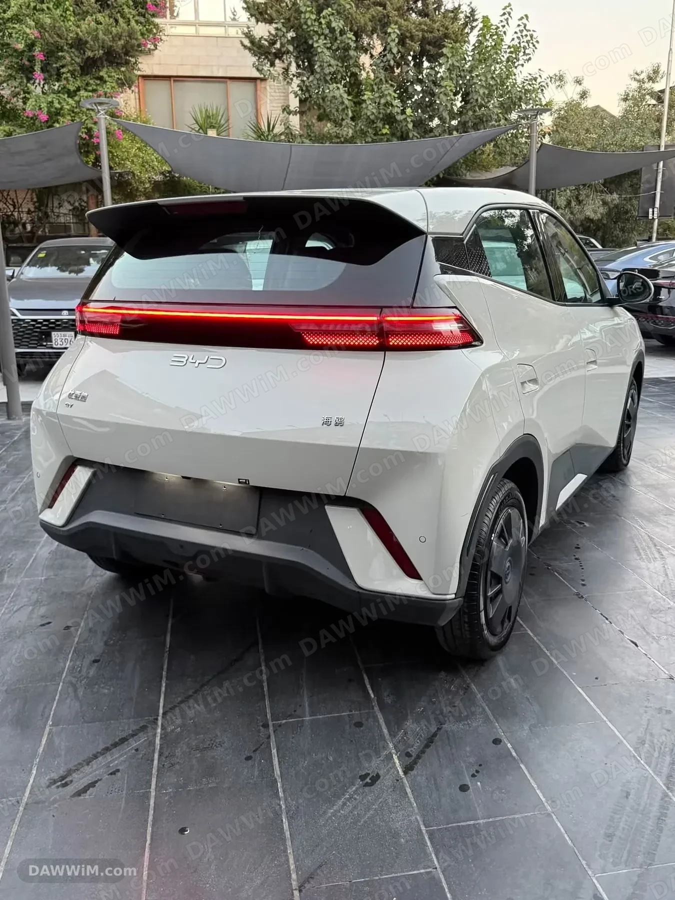 سيارة BYD Seagull كهربائية جديدة موديل 2025