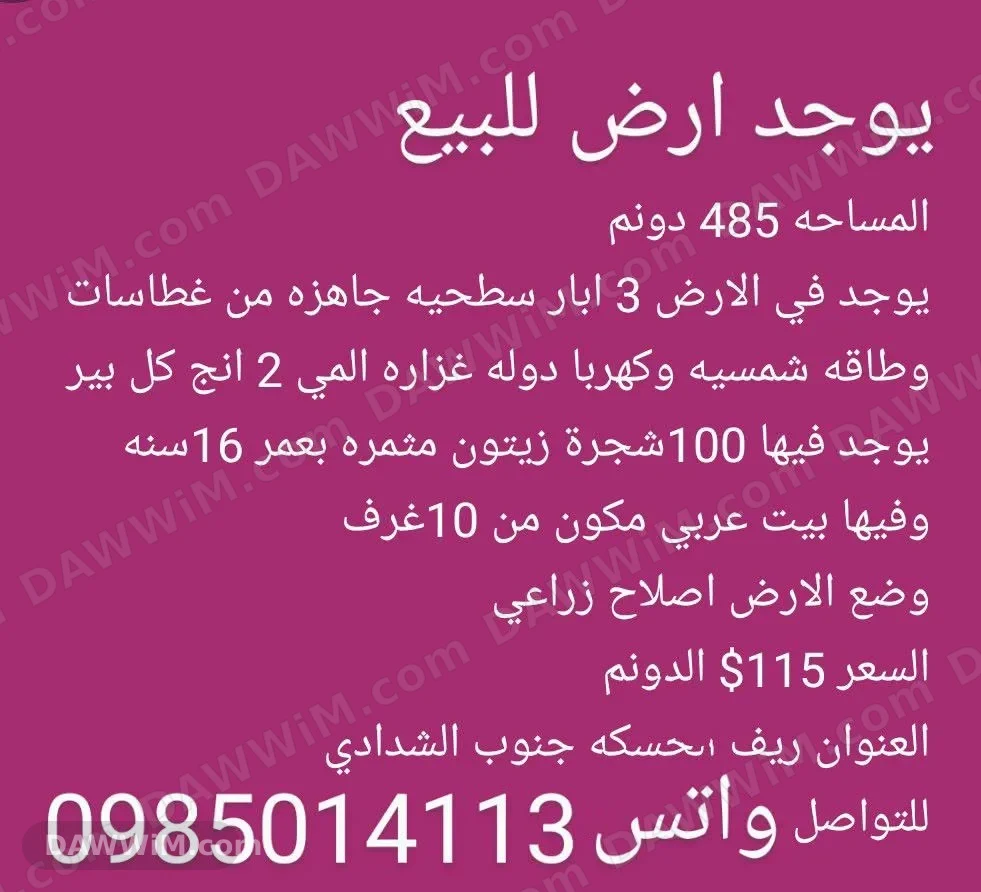 أرض للبيع في الحسكة بمساحة 485 دونم