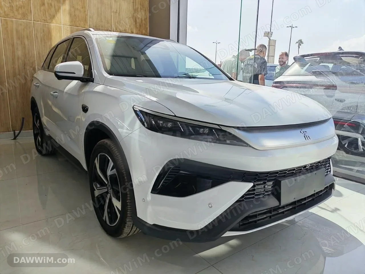 بي واي دي سونغ برو 2026 جديدة كلياً