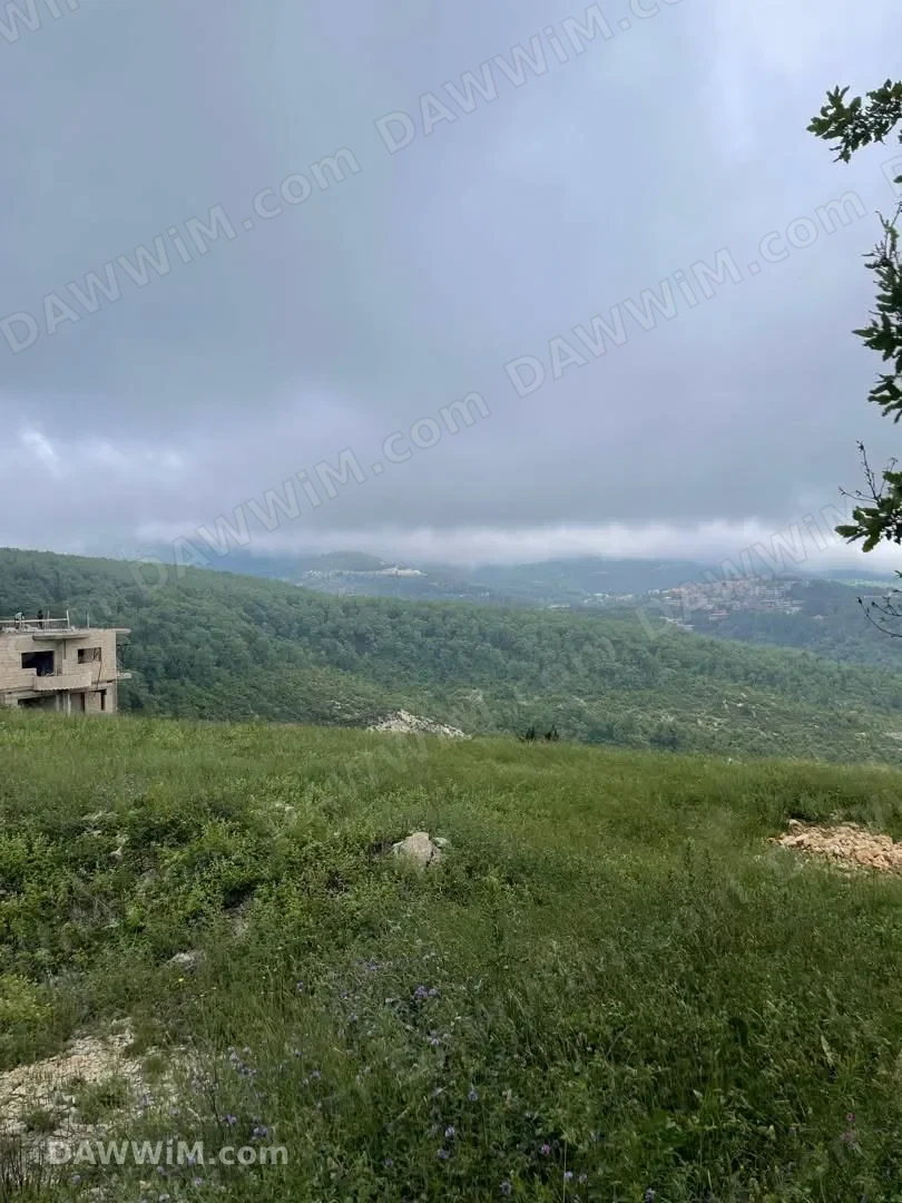 أرض للبيع في بلدة صلنفة بإطلالة مميزة