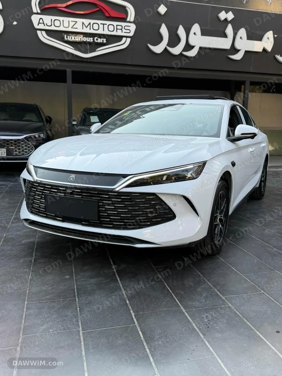 سيارة BYD Qin L موديل 2026 جديدة