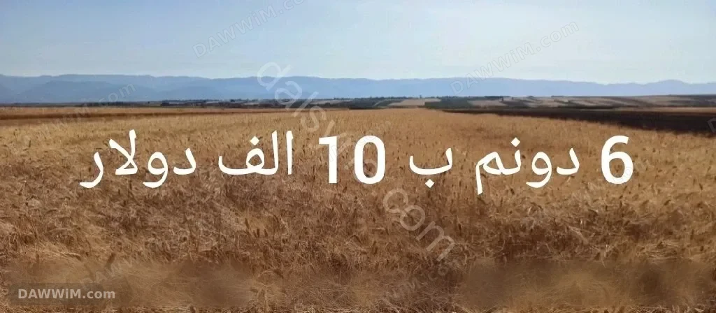 ارض للبيع مساحة 6 دونم في قرية الجلمة - حماة