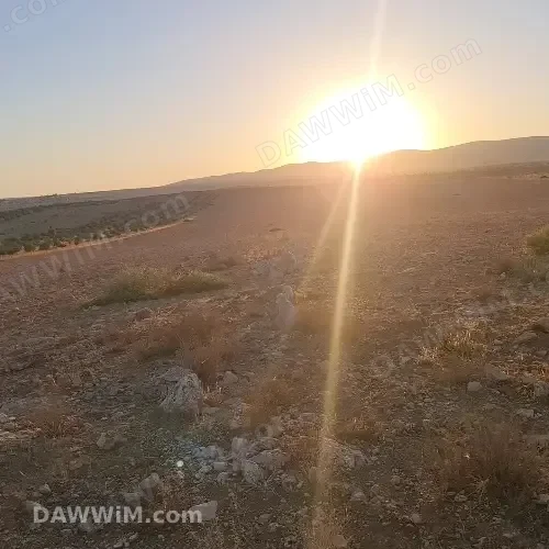 أرض استثمارية للبيع في ريف حمص الشرقي