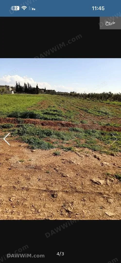 أرض للبيع في قرية الجابرية - حمص