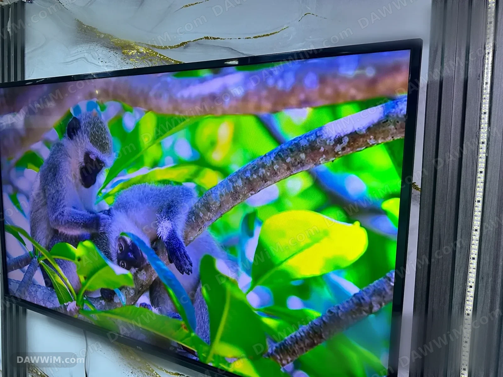 شاشة TCL قياس 50 إنش ذكية