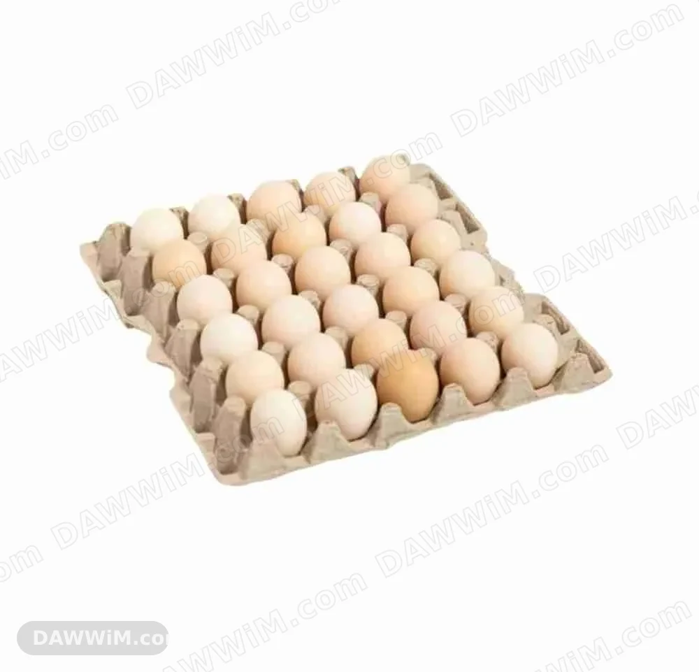 بيض بلدي طازج